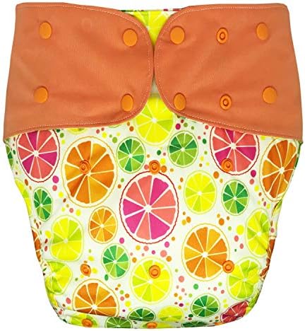 Cloth Diaper Cover - Reusable Special Needs Incontinence Briefs for Big Kids, Teens and Adults (Citrus, Regular)