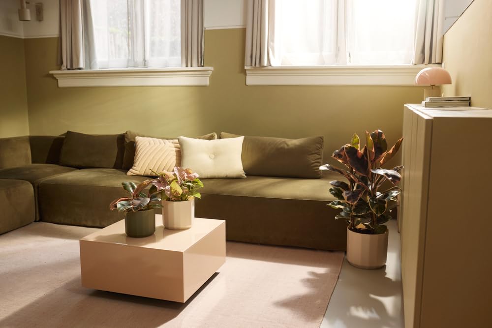 Elho Facet Round 26cm - Vaso per Interno - 100% Plastica Riciclata - Ø 25.9 x H 23.3 cm - Verde/Tea Green