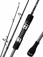 Amazon | X-CORE ジギングロッド JIG120-350g スピニング 10