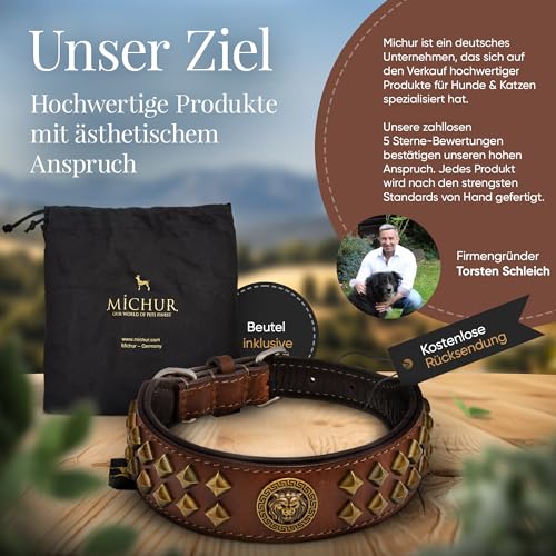 MICHUR Diego Braun 1. Wahl !! Hundehalsband Leder Lederhalsband Hund Halsband Löwenkopf Nieten Messing Optik Braun Gold