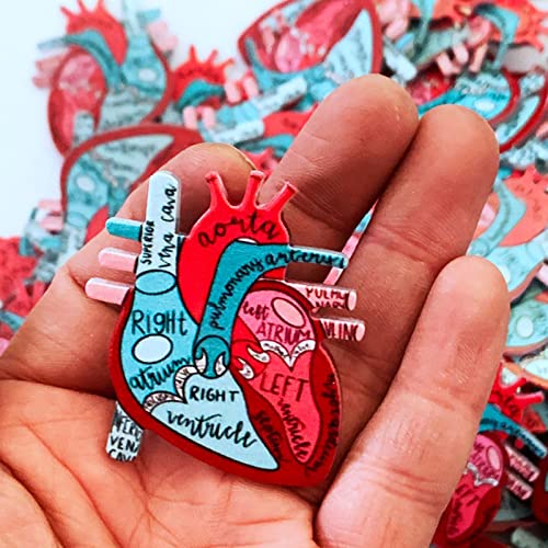 vsilay Badge Reels Retractable ID Clip Holder Anatomical Heart Nurse Anatomy Nursing Doctor Medical Name Tags Card Badge - Image 4