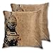 DECISAIYA Lot De 2 Taies d'oreiller 60x60cm,Machine à Vapeur Antique Old Iron Train Vieilli Sepia Grunge Style Design Thème Industriel ImprimerOreillers Housse Coussin pour Voiture Salon Lit Canapé