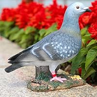 鳩の置物 71VYZ7lHuzL._AC_UF350,