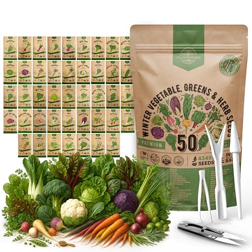 50 Winter Vegetable Garden Seeds Variety Pack - 43,450+ Non-GMO Heirloom Seeds for Outdoors & Indoor Home Gardening, Including Kohlrabi, Lettuce, Radish, Onion, Choy, Spinach, Cauliflower, Collards