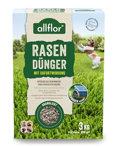 Allflor Rasen-Dnger mit Sofortwirkung I 1 x 3 Kg I NPK 12-5-5 I  Rasendnger in der Faltschachtel I Dnger ist gut geeignet fr Streuwagen I  Dngemittel mit hohem Stickstoffgehalt : Amazon.de: Garten