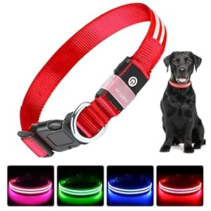 PcEoTllar Collar Ligero Perro USB Recargable zolled Collar Perro Collar Impermeable Luminoso tamaño Ajustable, 3 Modos, Collar Ligero Seguridad Nocturna Perros pequeños y medianos