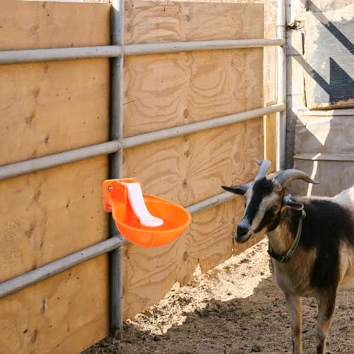 SUPVOX Tigela De Água Automática: 1 Conjunto De Água Potável Para Cavalos Grande Dispensador De Plás
