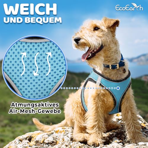 Hundegeschirr + Leine - Mittelgroß, Husky Blau - Weich gepolstert, No Pull Design Haustiergeschirr + Reflektierende Streifen für kleine + mittelgroße Hunde - von EcoEarth