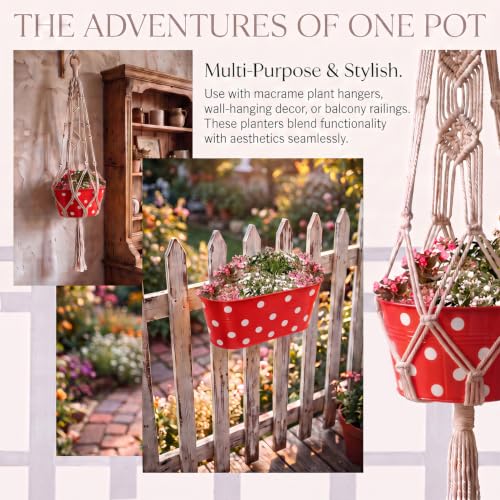 Image of TrustBasket Dotted Oval Railing Planters Basket - Red (Set of 5) | Hanging Planter | Anti Rust Plant Container Gamla for Home Decor | Indoor & Outdoor