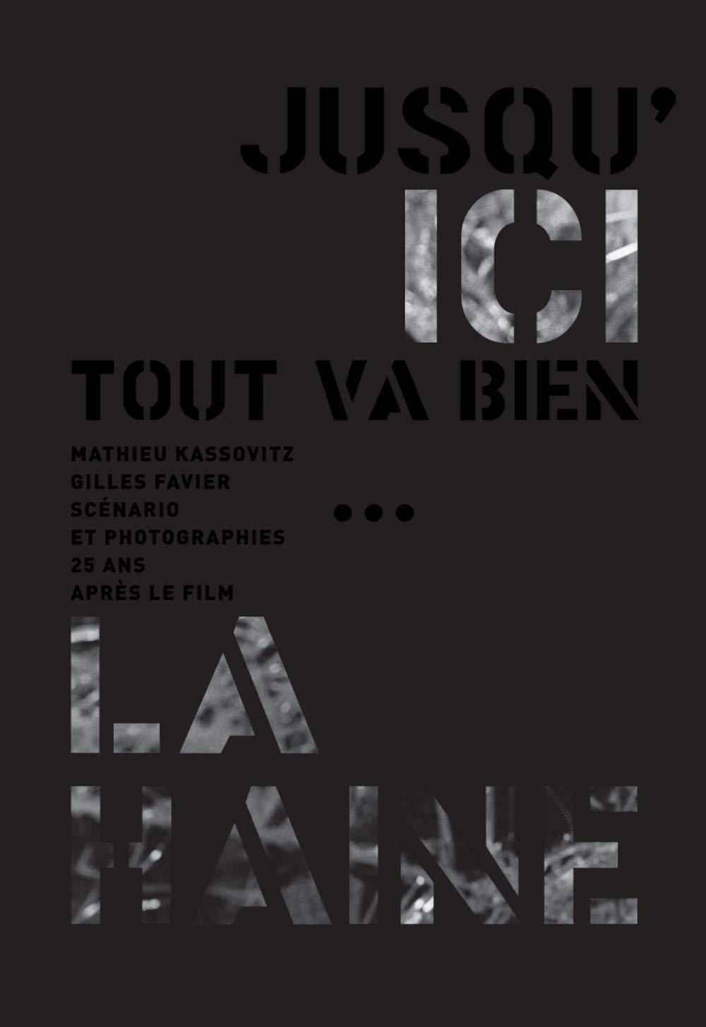 Jusqu'ici tout va bien...: La Haine, 25 ans après le film