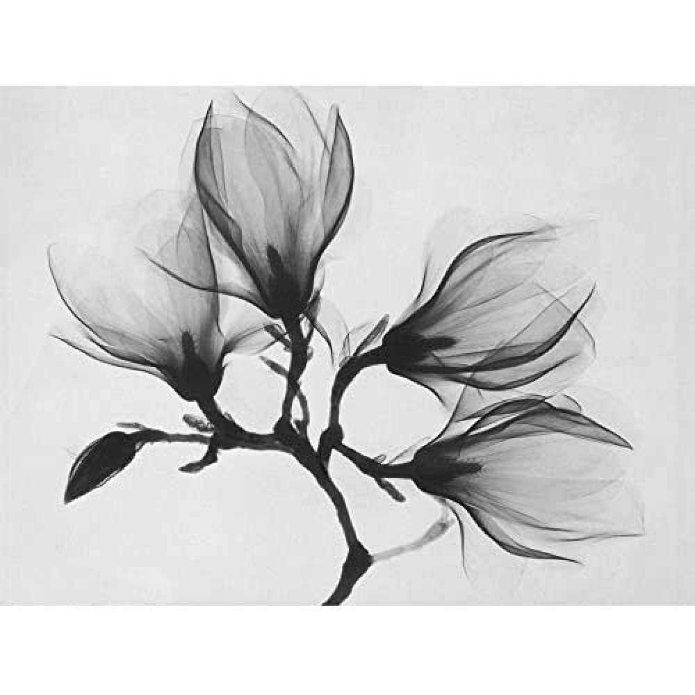 Wee Blue Coo Magnolia Branch Xray Unframed Art Print Poster Wall Decor 12X16 Inch
