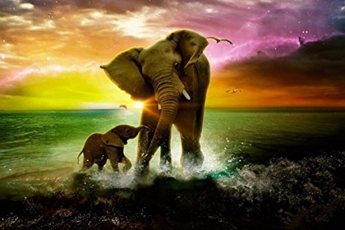 Yumeart 5D DIY Diamond Painting Kits Diamond Embroidery The Elephant Cross Stitch Handmade Crafts 30x40cm(12x16