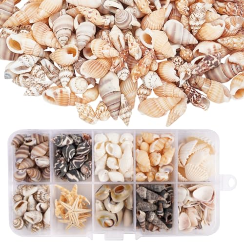 220 conchas marinhas naturais (10 tipos) 90 g sem furos com caixa de armazenamento incluída estrelas do mar para trabalhos manuais, decoração de casamentos, festas de praia e vasos (mistura)