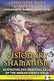 Visionary Shamanism: Activating the Imaginal Cells of the Human Energy Field