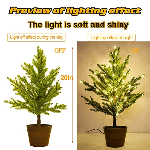 Lighted Mini Christmas Tree, Tabletop Led Xmas Tree With Remote Color Changing, Colorful 80Led Pre-Lit Artificial Small Tree In Pot With Hanging Ball Ornaments For Home Party Christmas Decoration, Rgb #TOP3