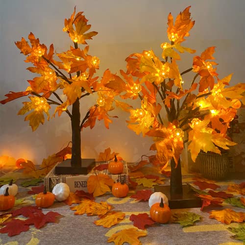 Fallmapletreewith48ledsbatteryoperatedlightupartificialpumpkinsmapleacorntreeforfallthanksgivingtableharvesthomeindoordecoration2pack Urban Country Home Decor Fall maple tree with 48 leds battery operated light up artificial pumpkins maple acorn tree for fall thanksgiving table harvest home indoor decoration 2 pack urban country home decor