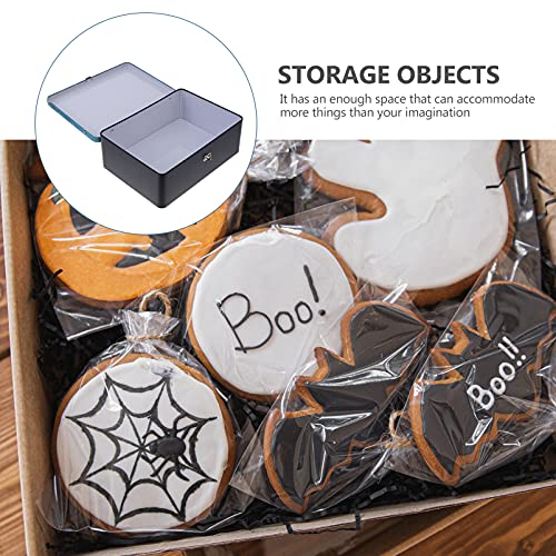 Cabilock Scatola di Stoccaggio di Ferro Bianco con...