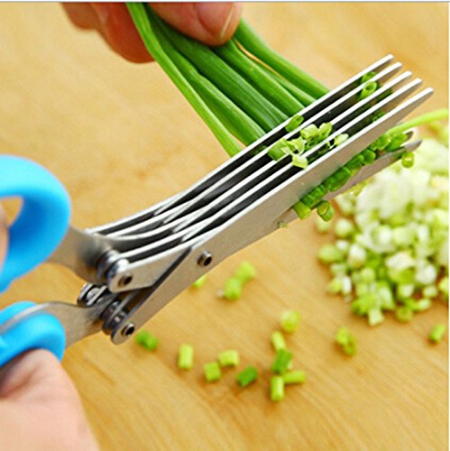 edealing 1 PCS Nuevo acero inoxidable Escalona cebolla de primavera de verduras Shredder Slicer Cortador 5 cuchillas afiladas