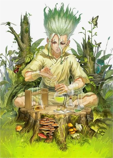 Classic Anime Dr.Stone Ishigami,1000 Pcs,Posters Puzzle,Adults Children's,Juegos Educational Juguetes CYQFEZ MS622HD