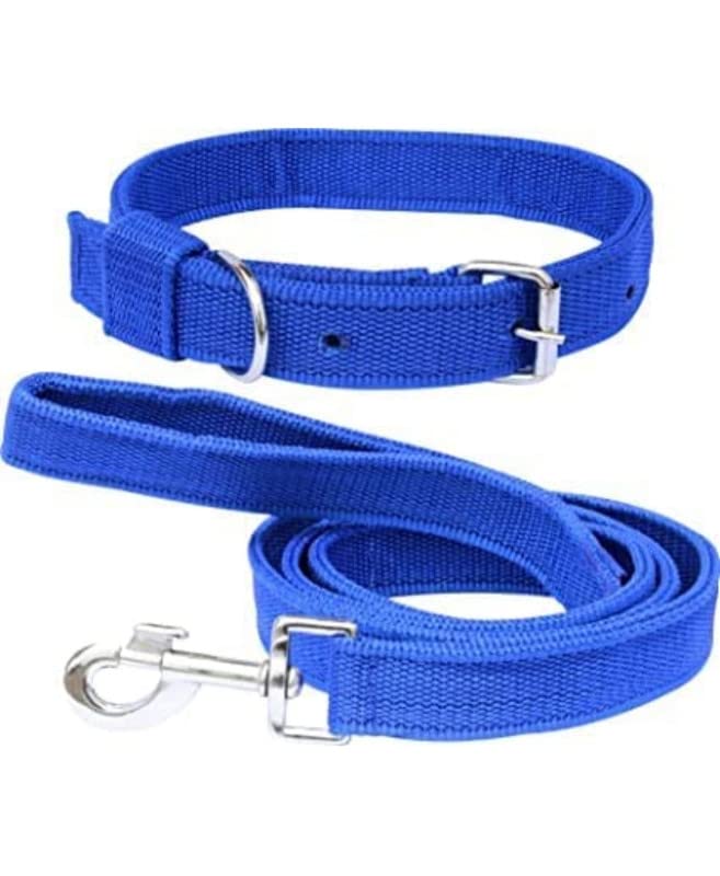 Aviean International Dog Neck Collar Belts and Leash Set (Blue Color, Waterproof, Medium, Nylon) Collar=0.75 Leash 10mm (B09Y59XVQD) Amazon Price History, Amazon Price Tracker