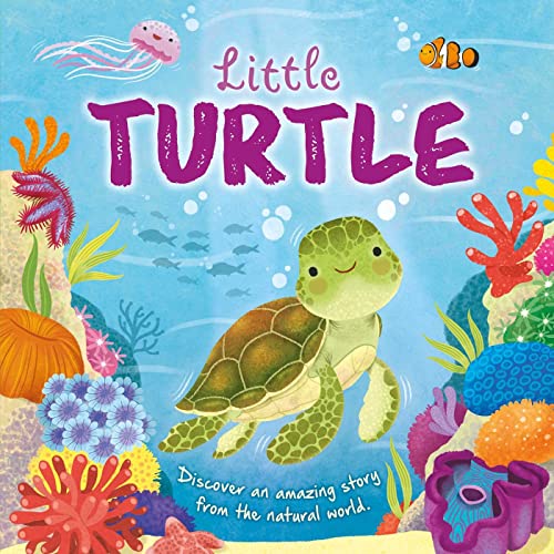 Image of Nature Stories: Little Turtle-Discover an Amazing Story from the Natural World: Padded Board Book