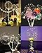 10 Pack LED Balloons with Sticks - Light Up Balloons LED Balloon, Clear Bobo Balloons with Lights, 20 Inch Bubble Balloons with Lights, Helium Lighted Balloons, Glow in the Dark Balloons for Party