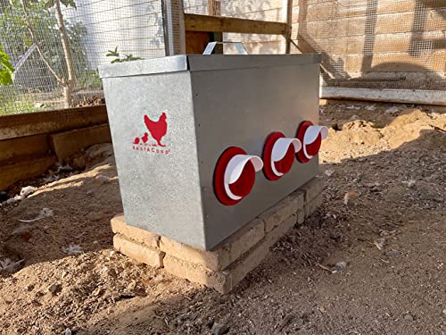 Rentacoop 65Lb Capacity 6-Port All Weather Metal Poultry Feeder #TOP3