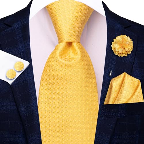 Image of Hi-Tie Mens Paisley Floral Striped Ties Set Silk Necktie and Lapel Pin for Men Pocket Square Cufflinks Set Business Wedding