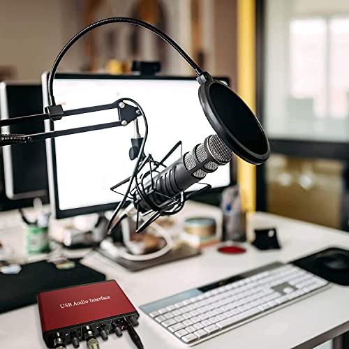 2I2 Audio Interface Audio Interface Microphone Preamps With 48V Phantom Power 24 Bit Support Smartphone/Tablet/Computer And Other Equipment Recording（No Daw Recording Software） #TOP5