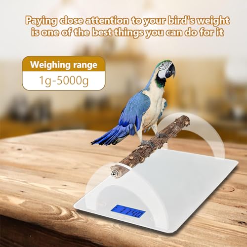 Image of Parrot Training Weight Scale, Accurate Bird Measure Accessories with Perch for Macaw Cockatiel, Range 1G - 5000G