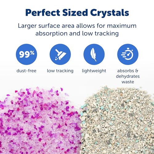 Image of PetSafe ScoopFree Premium Crystal Litter, Lavender Scent, 4.3Lb Bag, Litter (Pack of 8)