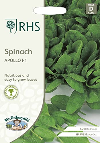 Mr Fothergills -RHS Spinach Apollo F1 Green