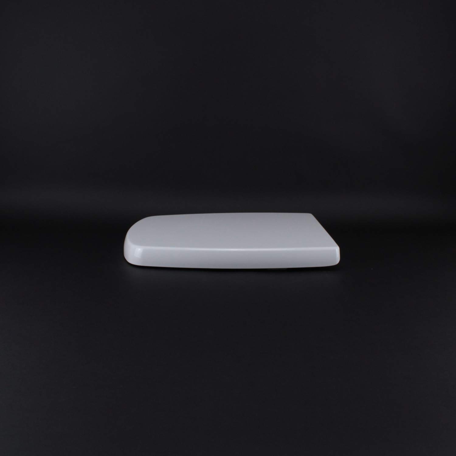 Copriwater per GALASSIA SA02 come ORIGINALE TERMOINDURENTE BIANCO cerniera inox normale