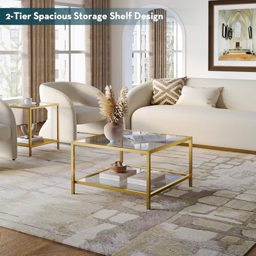 SAYGOER Glass Coffee Table with Storage 2-Tier Square Glass Center Table for Living Room Home Office with Gold Metal Frame Modern Table for Small Spaces