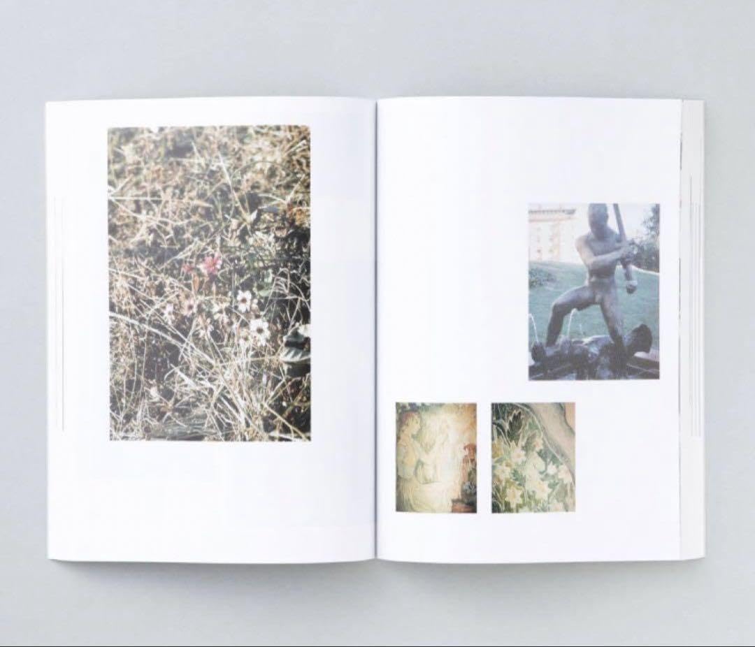 Amazon.co.jp: 絶版 Les Chroniques Purple : おもちゃ