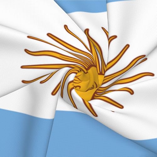 Housse de coussin drapeau argentin EdWal pour rénover un canapé usé facilement - 7