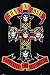 Guns N Roses Poster 22 x 34in