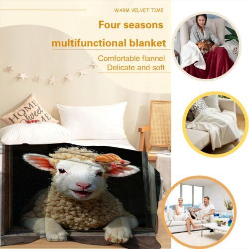 Manta Polar 220 x 240 Oveja Blanca Adulto, Mantas para Cama 105 de Franela Cálida y Cómoda para Niños y Adultos, Mantitas para Sofá Reversible para Cubre Sofa Colchas, Fácil de cuidar
