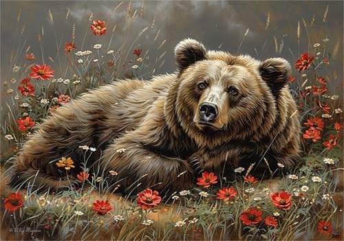 Alfombras Infantiles Niños 10 Años Marca Jiacgrtef