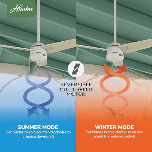 Image of Hunter Cassius, Outdoor or Indoor, Ceiling Fan, 44 inch, Fresh White