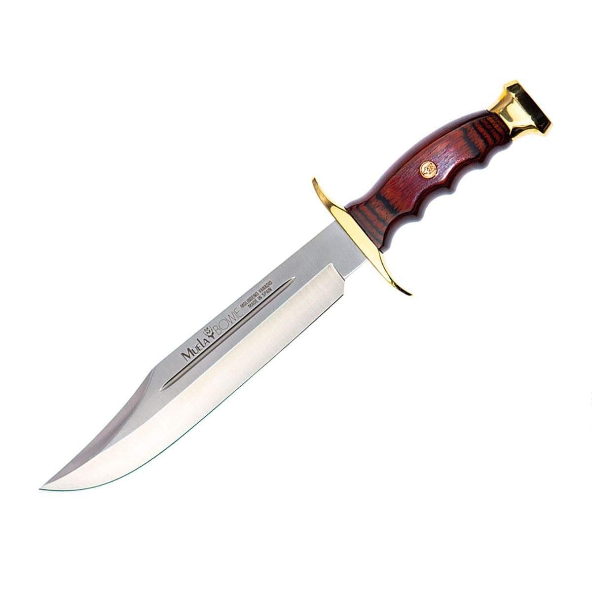 Muela Cuchillo de caza BW-22 con hoja de acero inoxidable MoVa de 22 cm y empuñadura de madera de coral para Caza, Pesca, Supervivencia y Bushcraft + Portabotellas de regalo