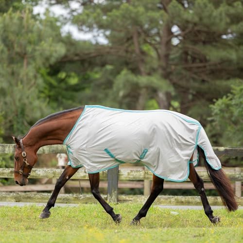 Image of Equinavia Gard Horse Fly Sheet Nylon Mesh Equine Fly Sheet for Horses, Pony | Turnout Horse Fly Sheets, Breathable Pony & Horse Sheet, Lightweight, Against Pests, Sun UV, Silver Grey /Turquoise, 72 in