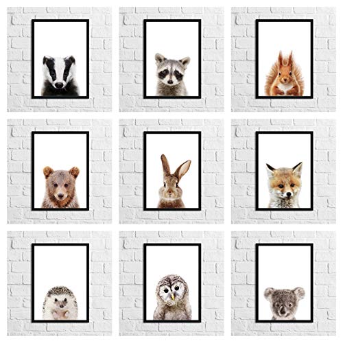 Image of LS Bright Design Nursery Animals Prints Posters and Children Wall Pictures Art Baby Room Gifts (A5 (148mm x 210m), sloth)