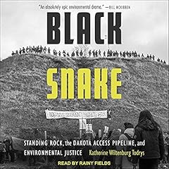 Black Snake Audiolibro Por Katherine Wiltenburg Todrys arte de portada