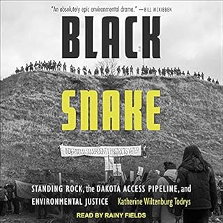 Black Snake Audiobook By Katherine Wiltenburg Todrys cover art