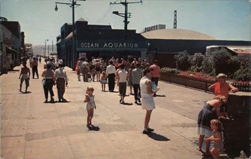 Ocean Aquarium on The Strand