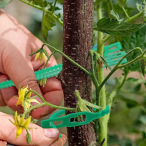 200 Piezas Cintas Ajustables para Plantas de Jardín miniatura 4