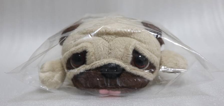 Amazon.co.jp: アポ ぬいぐるみ宇宙兄弟APO パグ 21巻 限定版