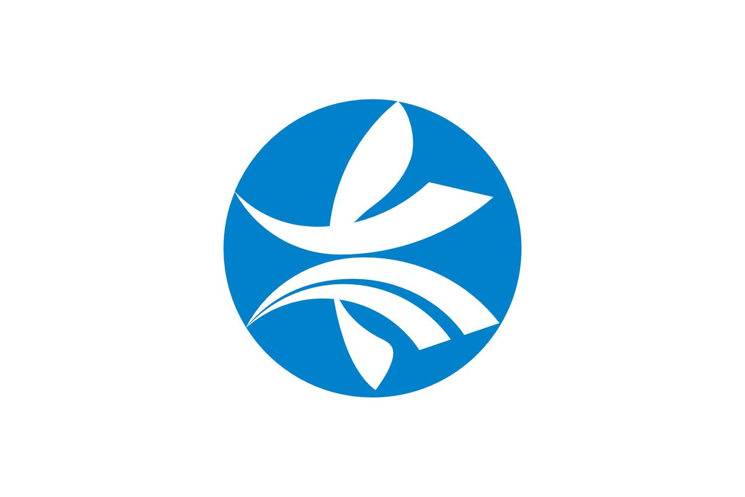 Drapeau large Kizugawa Kyoto tenture murale japonaise grand tissu imprimé
