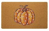 FGSS Polka-Dot-Pumpkin Coir-Welcome-Mats Non-Slip Fall-Front-Door-Mat - Fall Harvest Thanksgiving Indoor Outdoor Floor Mat 17 x 29 Inch
